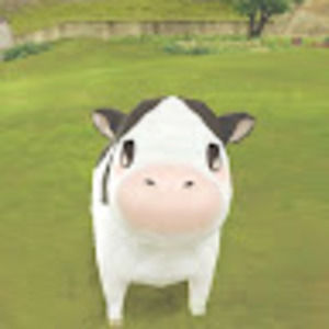 Meet your Posher, Josiee